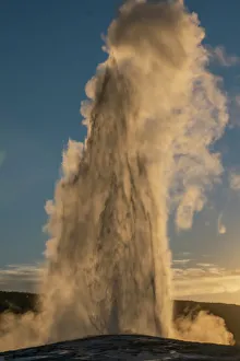 Old Faithful Prints: Old Faithful Geyser Eruption, Yellowstone National Park, Wyoming, Usa