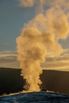 Old Faithful Geyser Eruption, Yellowstone National Park, Wyoming, Usa