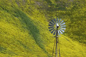 Betty Sederquist Prints: An old fashioned windmill stands in front of a flower covered hillside in the California Coast Range