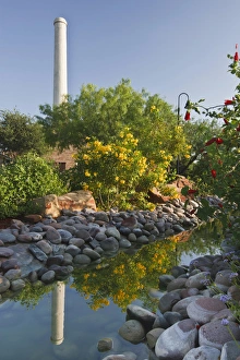 Rio Grande Prints: Old Hidalgo Pumphouse and birding center butterfly garden