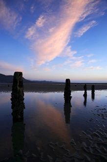 South Is Prints: Old Jetty Piles at Sunrise, Collingwood, Golden Bay, Nelson Region, South Island