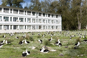 Images Dated 10th March 2009: The old military barrack has been transformed in a cozy lodge for visitors