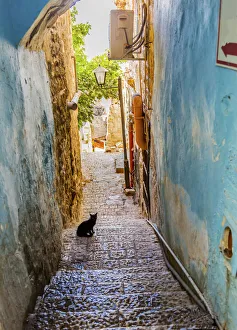 Old City Prints: Old Stone Street Alleyway Black Cat Safed Tsefat Israel Many famouse synagogues
