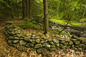 Images Dated 11th August 2015: An old stone wall next to Muschopauge Brook in Holden, Massachusetts. Worcester County