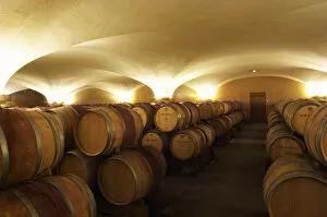 The old style vaulted barrel aging cellar with barriques pieces with maturing wine