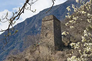 Tibetan Prints: Old Tibetan castle on mountain slope with pear flowers, Jinchuan, Sichuan Province, China