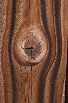 Images Dated 20th March 2019: Old wood design, California