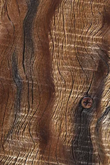 Images Dated 20th March 2019: Old wood design, California
