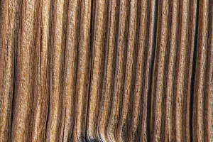 Images Dated 18th March 2019: Old wood design, California