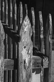 Images Dated 18th March 2019: Old wood design, California