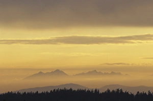 Foggy Prints: Olympic Mountains and clouds at sunset, viewed from Bellevue, Washington