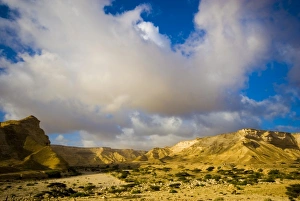 Images Dated 19th February 2009: Oman, Al-Shuwaymiyah, Wadi Al-Shuwaymiyah
