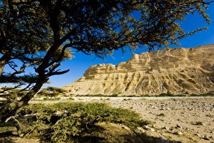 Wadi Prints: Oman, Al-Shuwaymiyah, Wadi Al-Shuwaymiyah
