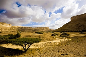 Images Dated 19th February 2009: Oman, Al-Shuwaymiyah, Wadi Al-Shuwaymiyah