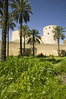 Oman, The Batinah Plain, Rustaq. Rustaq, once Omans Capital in the 17th century
