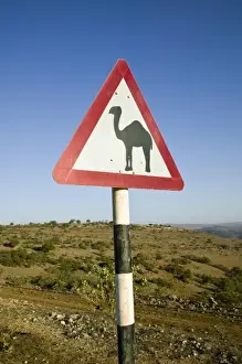 Oman, Dhofar Region, Salalah. Camel Crossing Sign in the Dhofar Mountains / Morning