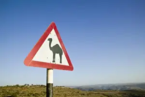 Images Dated 28th February 2007: Oman, Dhofar Region, Salalah. Camel Crossing Sign in the Dhofar Mountains / Morning