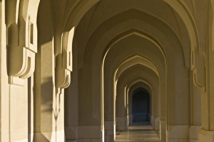 Images Dated 2007 February: 16 Feb 2007 Collection