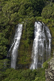 Basalt Prints: Opaeka a Falls located on the Wailua River in Wailua River State Park