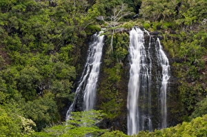 Hawaii Prints: Opaekaa Falls, Kauai, Hawaii
