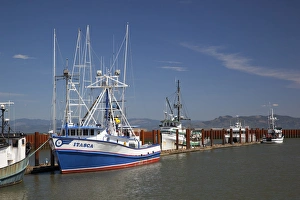 Astoria Prints: OR, Astoria, East Basin Moorage, Columbia River; Fishing boats