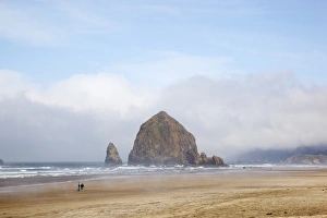 Images Dated 23rd April 2012: OR, Cannon Beach, Haystack Rock and fog