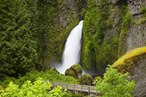Images Dated 6th June 2012: OR, Columbia River Gorge National Scenic Area, Wahclella Falls, Tanner Creek drops