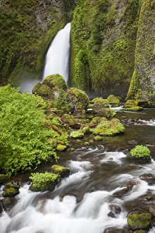 Images Dated 6th June 2012: OR, Columbia River Gorge National Scenic Area, Wahclella Falls, Tanner Creek drops