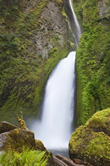 Images Dated 6th June 2012: OR, Columbia River Gorge National Scenic Area, Wahclella Falls, Tanner Creek drops