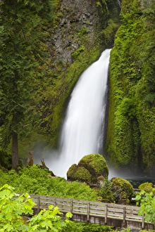 Images Dated 6th June 2012: OR, Columbia River Gorge National Scenic Area, Wahclella Falls, Tanner Creek drops
