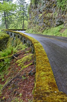 Images Dated 13th October 2017: OR, Columbia River Gorge National Scenic Area, Historic Columbia Gorge Highway