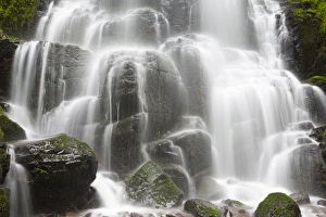 Images Dated 22nd April 2016: OR, Columbia River Gorge National Scenic Area, Fairy Falls