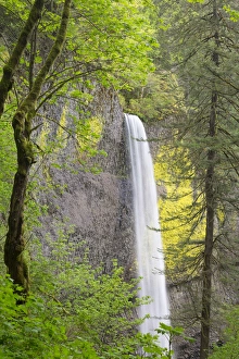 Images Dated 21st April 2016: OR, Columbia River Gorge National Scenic Area, Latourell Falls