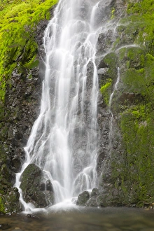 Images Dated 22nd April 2016: OR, Columbia River Gorge National Scenic Area, Cabin Creek Falls