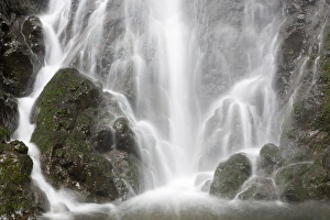 Images Dated 22nd April 2016: OR, Columbia River Gorge National Scenic Area, Cabin Creek Falls
