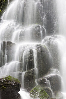 Images Dated 22nd April 2016: OR, Columbia River Gorge National Scenic Area, Fairy Falls