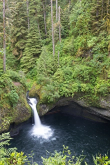 OR, Columbia River Gorge National Scenic Area, Punch Bowl Falls