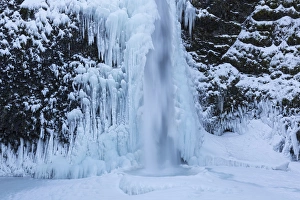 Images Dated 16th January 2017: OR, Columbia River Gorge National Scenic Area, Horsetail Falls
