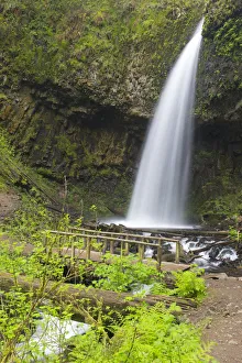 Public Lands Prints: OR, Columbia River Gorge National Scenic Area, Upper Latourell Falls