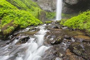 Images Dated 23rd April 2016: OR, Columbia River Gorge National Scenic Area, Latourell Creek and Falls
