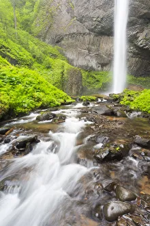 Images Dated 23rd April 2016: OR, Columbia River Gorge National Scenic Area, Latourell Creek and Falls