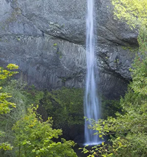 Images Dated 22nd November 2019: OR, Columbia River Gorge National Scenic Area, Latourell Falls