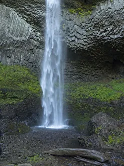 Images Dated 4th August 2020: OR, Columbia River Gorge National Scenic Area, Latourell Falls