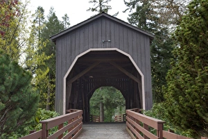 Covered Bridge Prints: OR, Douglas County, Pass Creek Covered Bridge, built in 1925, spans Pass Creek in Drain