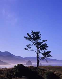 Sea Scape Prints: OR, Ecola SP, Seastacks at Cannon Beach, Haystack Rock in background