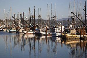 OR, Newport, fishing boats
