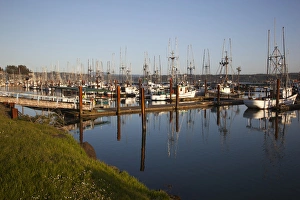OR, Newport, fishing boats