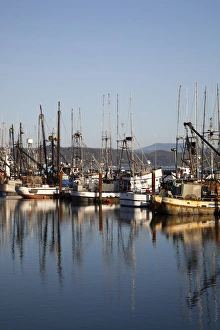 OR, Newport, fishing boats