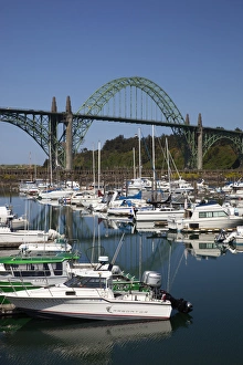 Newport Prints: OR, Newport, marina with pleasure boats and Yaquina Bay Bridge in background