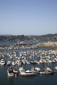 Newport Prints: OR, Newport, Port of Newport from Yaquina Bay Bridge